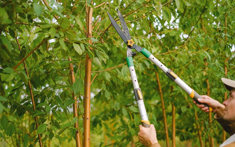 Tree trimming in Sweetser, IN